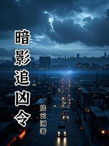 暗影追凶令暗影追凶令